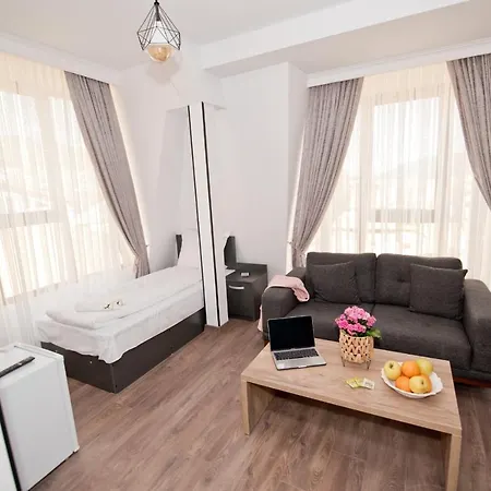 ホテル романтика サルニトゥサ