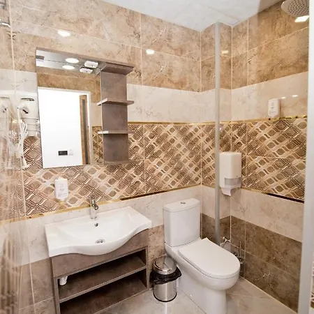 ホテル романтика サルニトゥサ